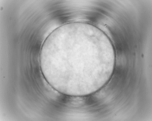 X0000088851338200706221651