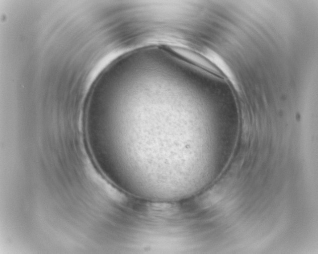 X0000088851339200706221651