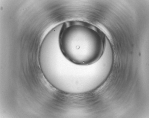 X0000088851340200706221651