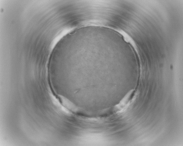 X0000088851341200706221651