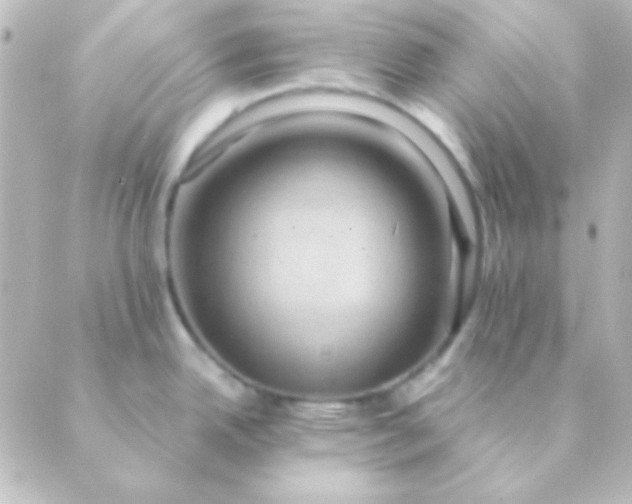 X0000088851342200706221651