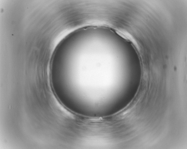 X0000088851343200706221651