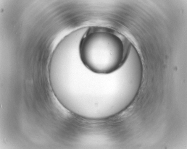 X0000088851344200706221651