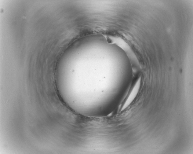 X0000088851345200706221650