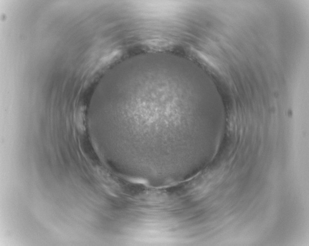 X0000088851346200706221650