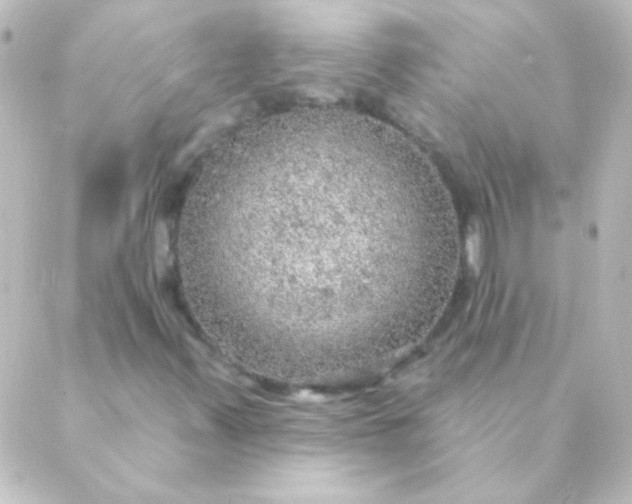 X0000088851347200706221650