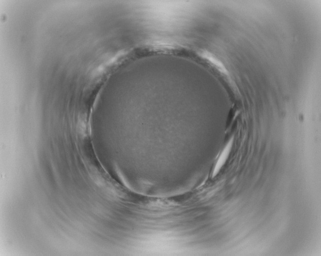 X0000088851348200706221650