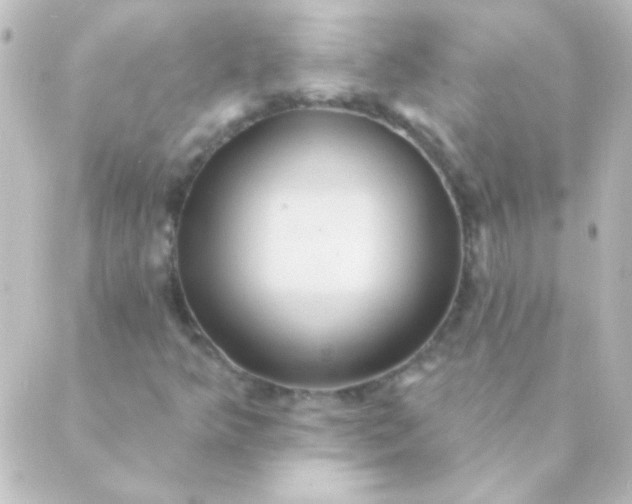 X0000088851349200706221650