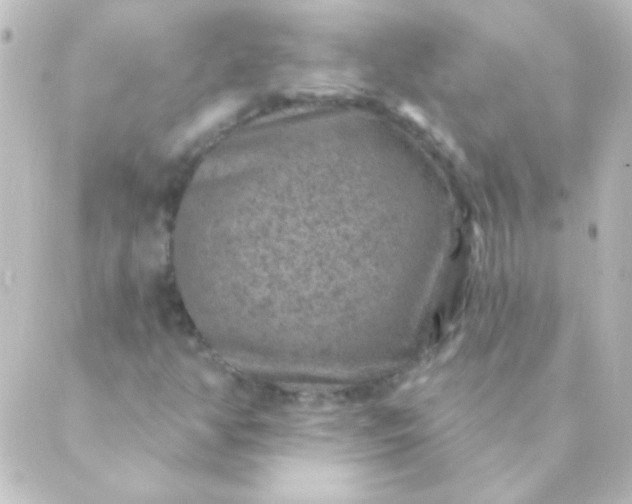 X0000088851350200706221650