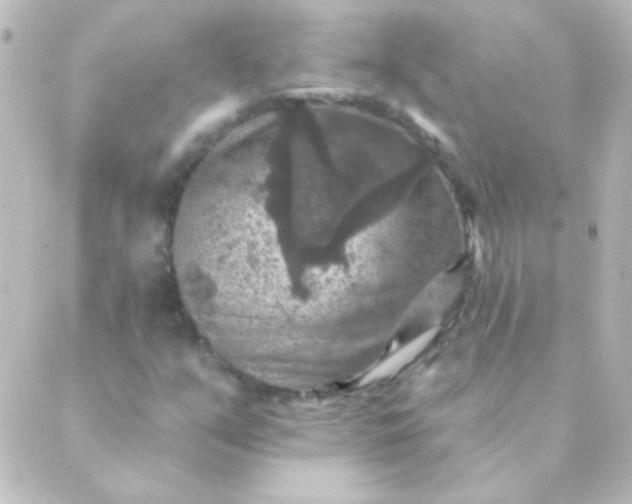 X0000088851351200706221650