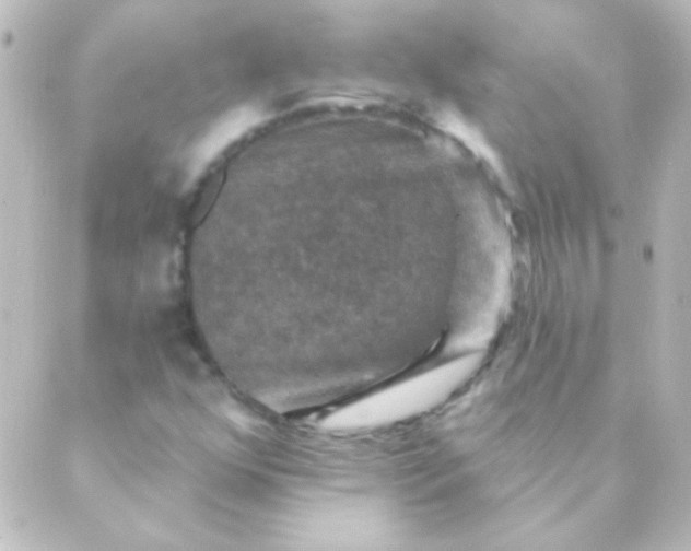 X0000088851352200706221650