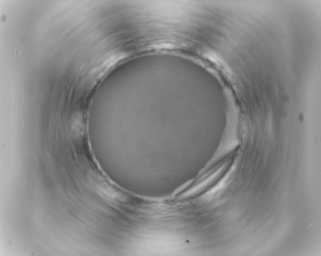 X0000088851353200706221650