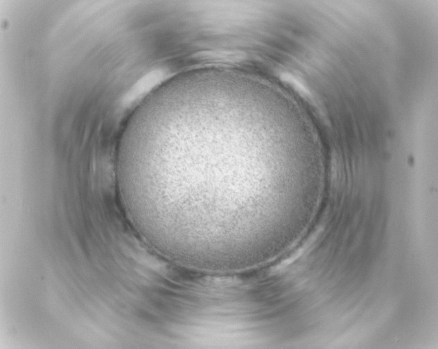 X0000088851354200706221650