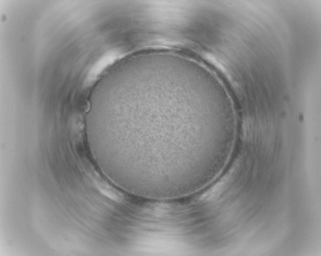 X0000088851355200706221650