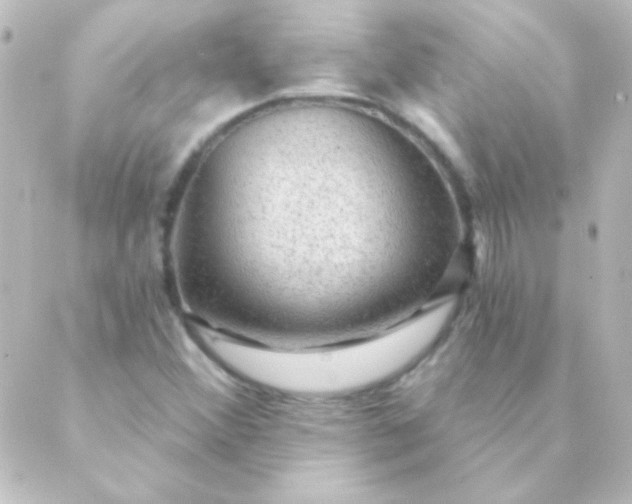 X0000088851356200706221650