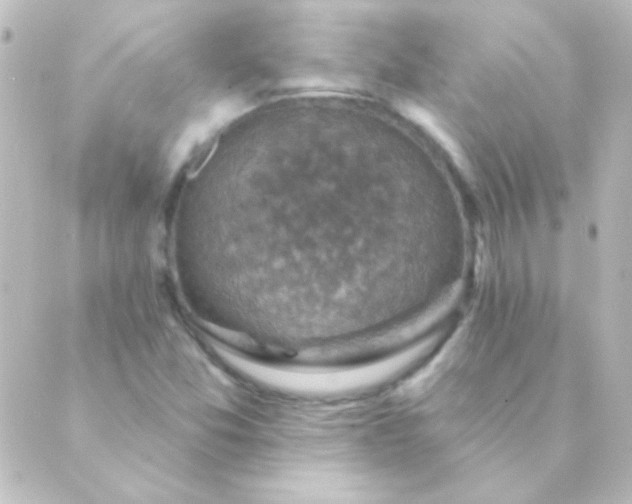 X0000088851357200706221650