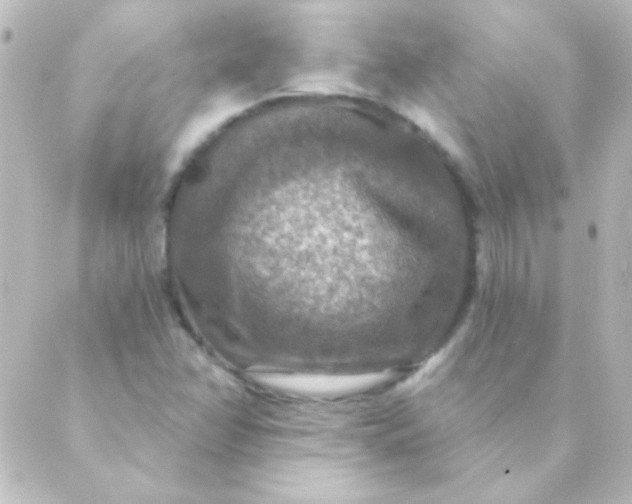 X0000088851358200706221650