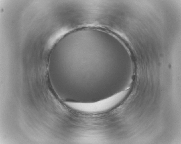 X0000088851359200706221650