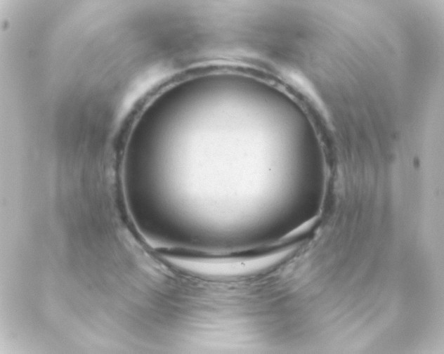 X0000088851360200706221650