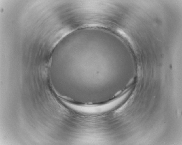 X0000088851361200706221650