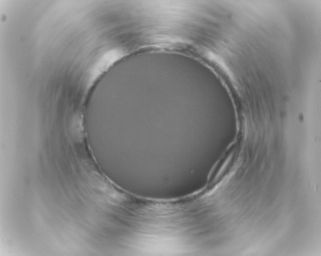 X0000088851362200706221650