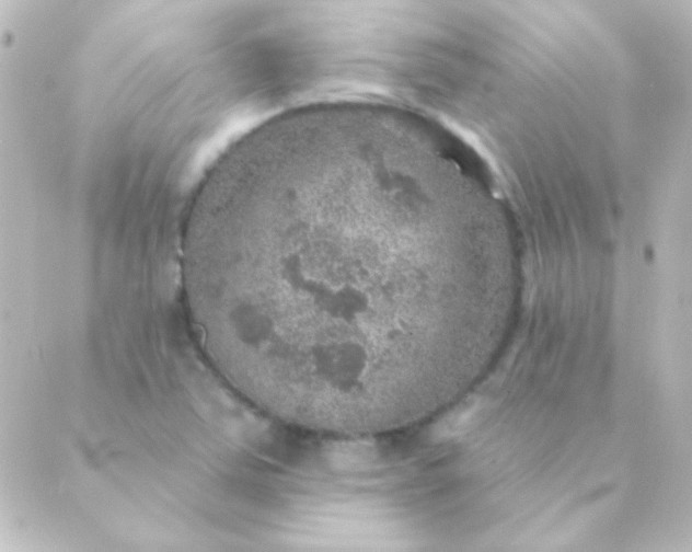 X0000088851363200706221650