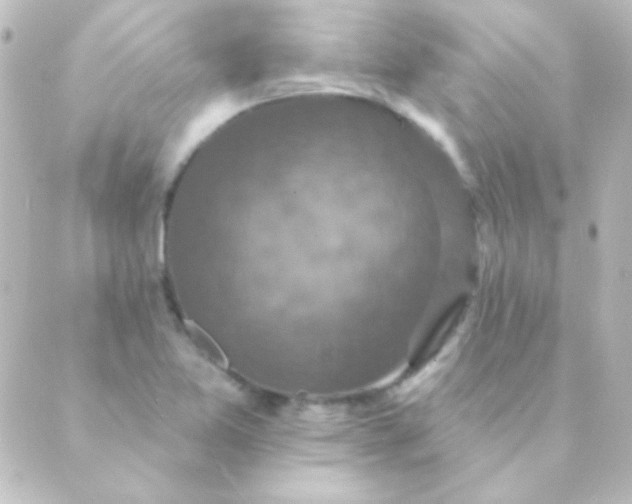 X0000088851365200706221650