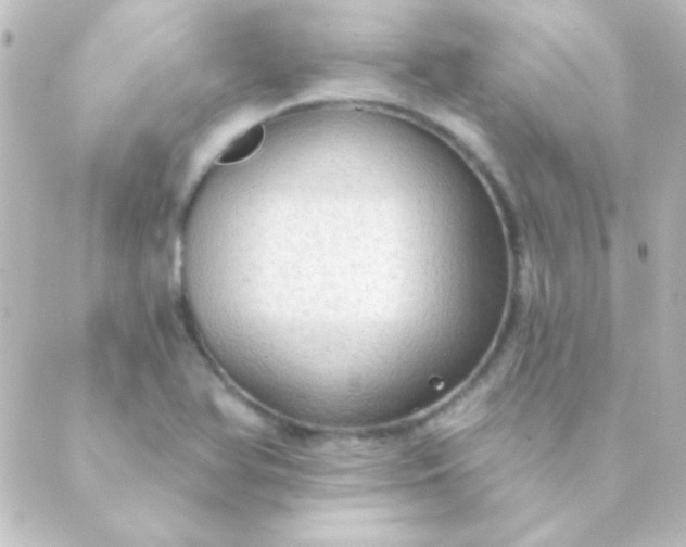 X0000088851366200706221650