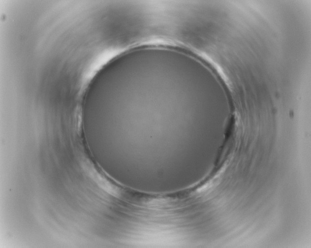 X0000088851367200706221650