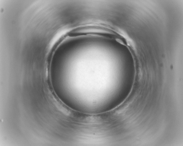 X0000088851368200706221650