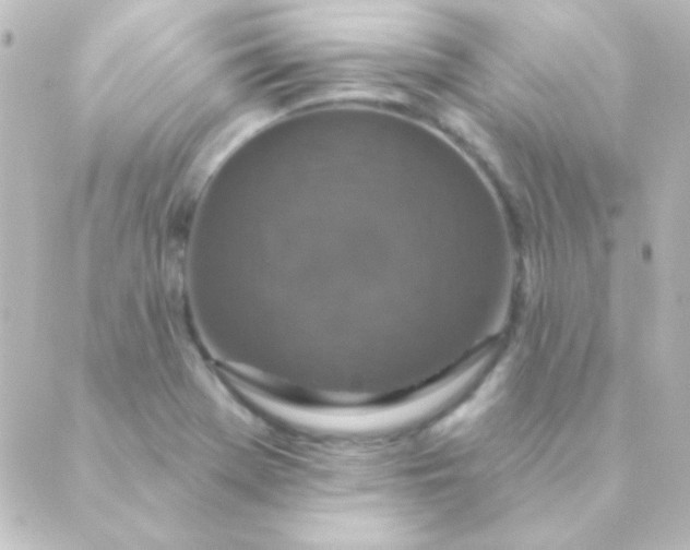 X0000088851369200706221650