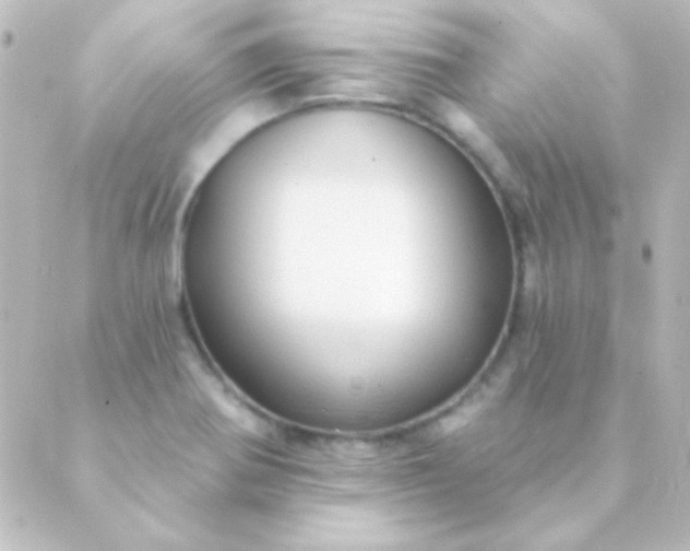 X0000088851370200706221649