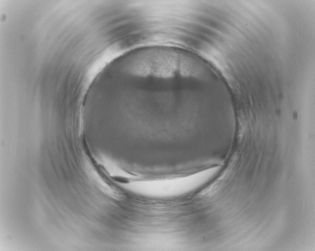 X0000088851371200706221649