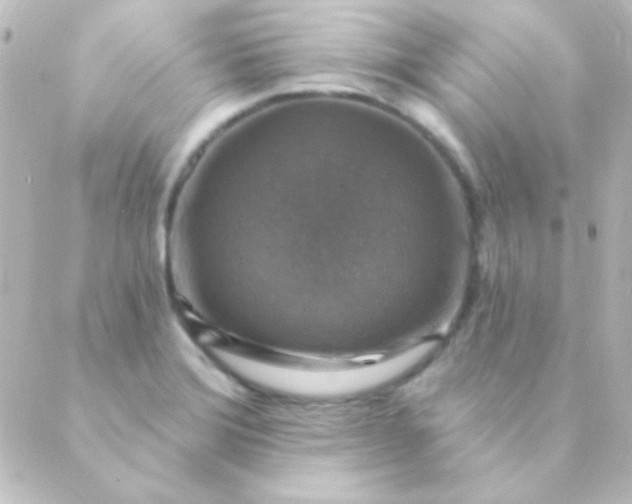 X0000088851372200706221649