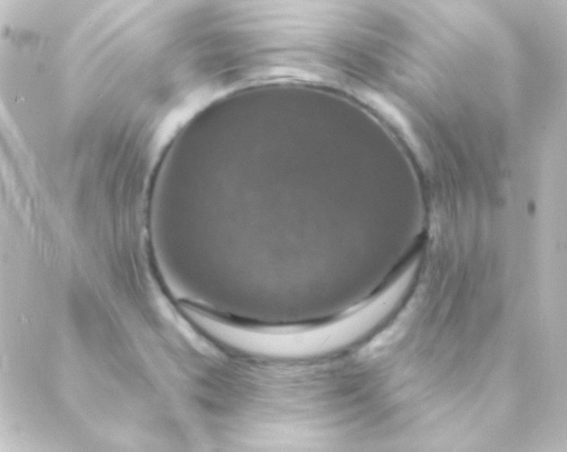 X0000088851373200706221649