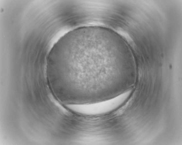 X0000088851374200706221649