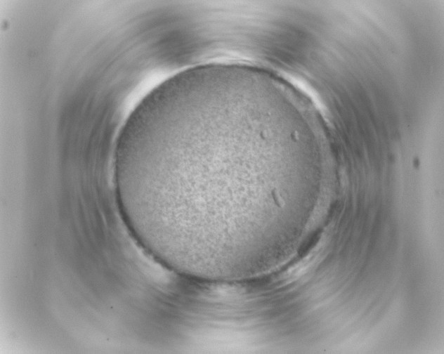 X0000088851375200706221649