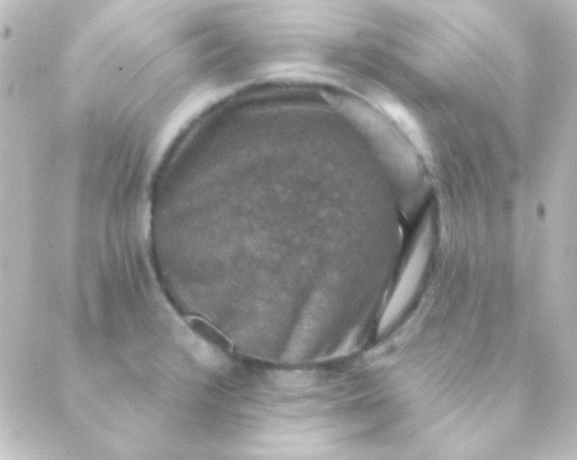 X0000088851376200706221649