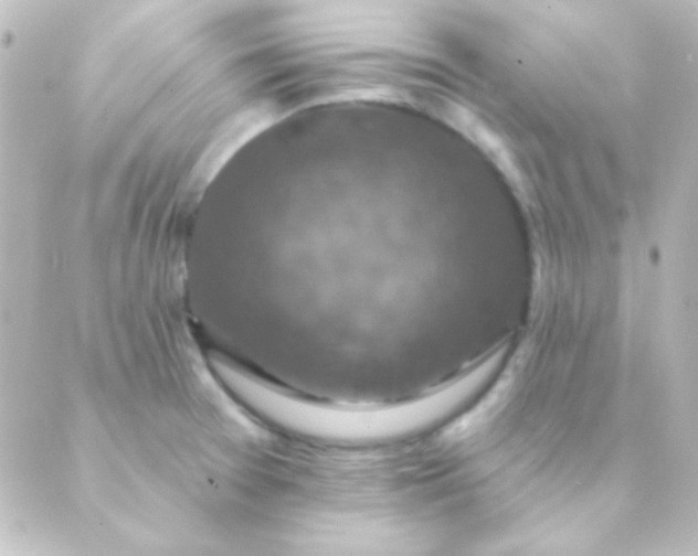 X0000088851377200706221649