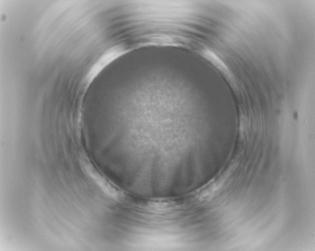 X0000088851378200706221649