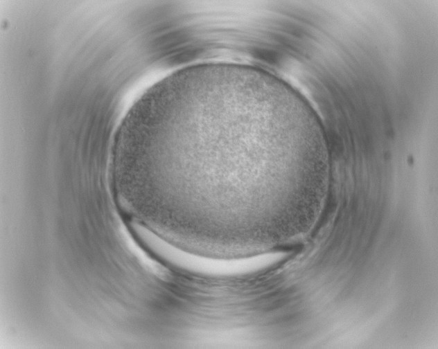 X0000088851379200706221649