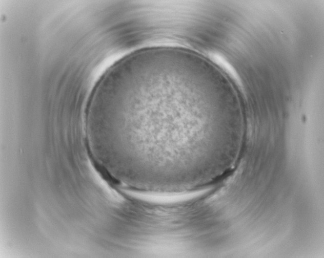 X0000088851380200706221649