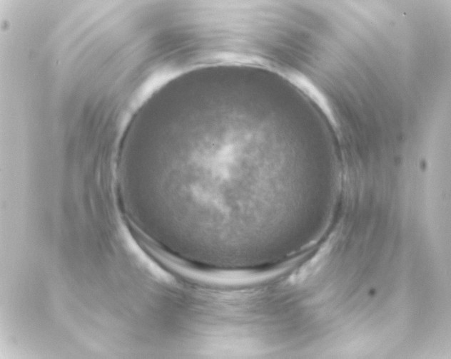 X0000088851381200706221649