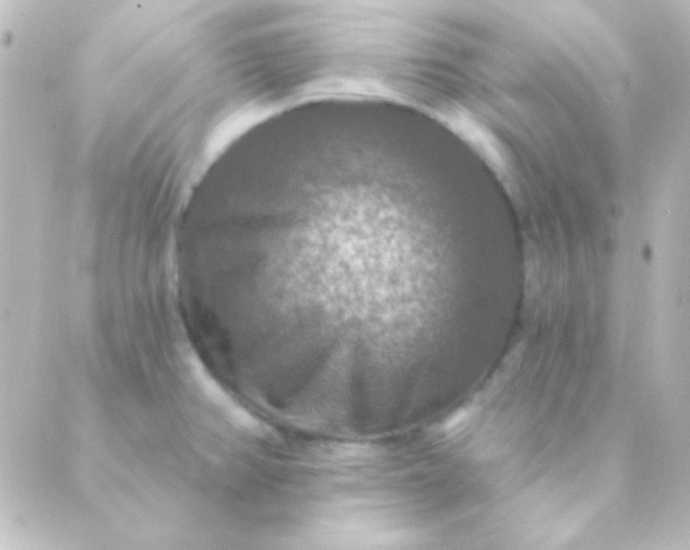 X0000088851382200706221649