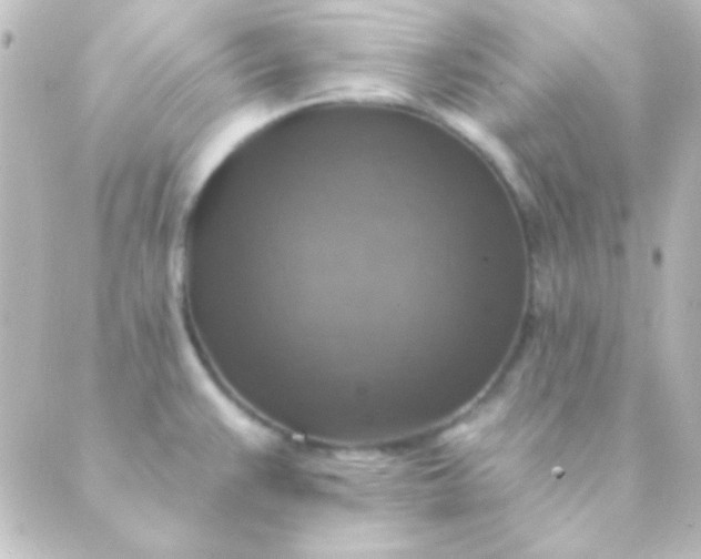 X0000088851383200706221649