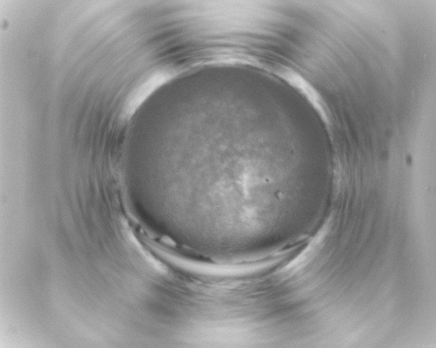 X0000088851385200706221649