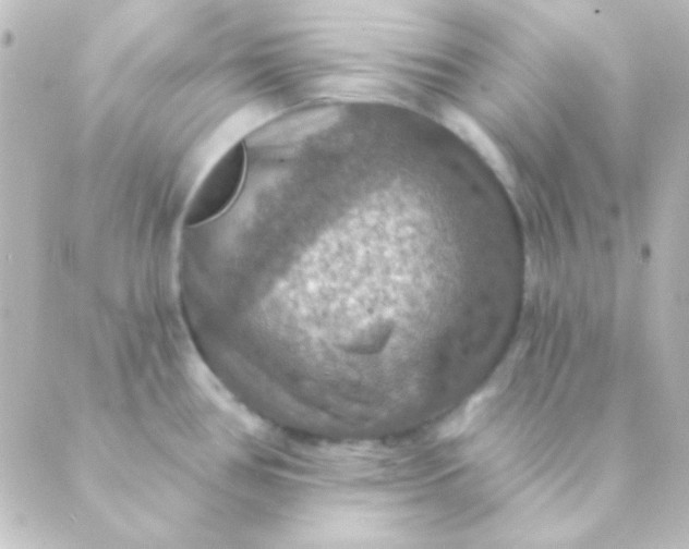 X0000088851386200706221649