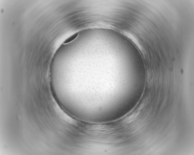 X0000088851387200706221649