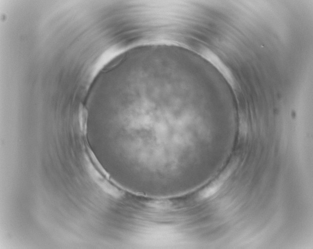 X0000088851388200706221649