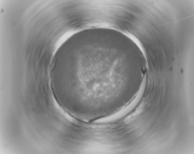 X0000088851389200706221649